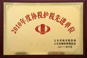 Exemplary organization of Tax Assistance and Tax Protection
