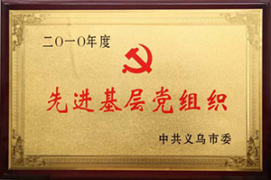 Advanced grassroots party organizations