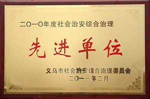 Exemplary organization for Comprehensive Administration of Social Security